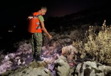 “8 vatra zjarri aktive në vend”, ministri thirrje qytetarëve: Tregohuni të kujdesshëm, prej thatësirës paraqitet rrezik i lartë