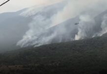 Zjarri vijon të djegë në Karaburun, nisen drejt malit forcat e ushtrisë