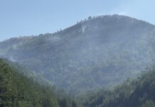 Zjarri në Thirrë rrezikon banesat e fshatit Gështenjas/ Vijon puna për shuarjen e flakëve në Kodrat e Lakut të Mollës