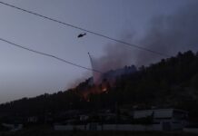 6 vatra aktive zjarri në vend/ Vijojnë flakët në Karaburun