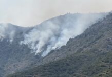 Zjarret rrezikojnë banesat e fshatit Dukat i Ri, era favorizon përhapjen drejt Llogorasë