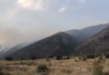 13 vatra zjarri aktive në vend/ Cilat zona vijojnë të jenë nën pushtetin e flakëve