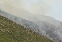 Vijon prej 10 ditësh zjarri në Vlorë/ Haki Çako në terren, Ministri: Situatë serioze