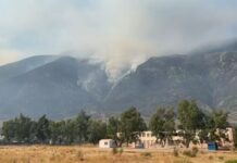 Situata e zjarreve në vend/ Maja e Rrunës vatra më e nxehtë! Problematike zjarret në Dukat të Ri e Thirrë