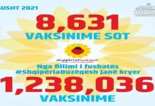 1.238.036 vaksinime antiCOVID të kryera në Shqipëri