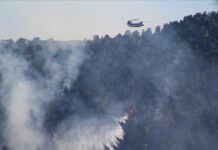 Situata alarmante në Turqi/ Që prej 28 korrikut 174 vatra zjarri u aktivizuan, nën kontroll janë 160