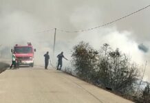 Një viktimë nga zjarret në vend! Evakuohen banorët në Lunxhëri! Rrezikohet djegia e tri fshatrave në Gjirokastër