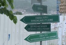 11 mijë maturantë kërkojnë Bujqësorin/ Kuota është 1800, kërkohet më shumë agrobiznesi, më pak zooteknika