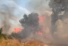 Zjarri masiv në Panaja/ Flakët bllokojnë rrugën Vlorë-Fier