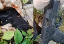 Plagosja e dyfishtë në Tiranë/ Arrestohen dy autorët, në kërkim bashkëpunëtori