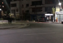 Lëkundje të forta tërmeti në Lezhë, ndihen edhe në Tiranë