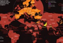 Harta globale e grupeve të gjakut, Shqipëria, nga të paktat në Europë me zero pozitiv