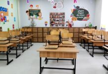 “I shkruante në telefon, e çoi në Pogradec”/ Gjyshja tregon për ngacmimin seksual të drejtorit ndaj 14-vjeçares