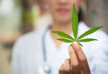 Malta, vendi i parë në Evropë që legalizon marihuanën