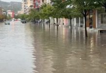 Pemë të shkulura, përmbytje dhe probleme në qarkullim: Dëmet që shkaktoi stuhia
