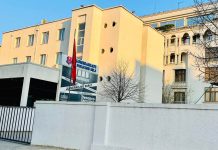 Ngjarje makabër në Tiranë: 21-vjeçarin e dhunojnë dhe i presin veshin. 3 në pranga