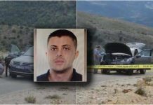 Çobani e qëllonte me armë për 40 minuta, derisa e vrau/ Zbardhet vrasja e biznesmenit italian në Tepelenë