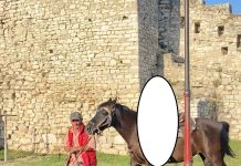“Mos e prek kalin se është i acaruar”/ Dalin detajet nga vrasja e 42-vjeçarit në kalanë e Beratit