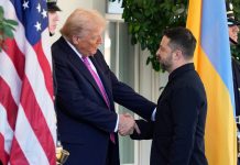Trump takohet me Zelenskyn, presidenti ukrainas mbërrin në Shtëpinë e Bardhë dhe merr komplimenta për veshjen