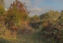 Gjendet makina e autorëve të atentatit në Rinas/ Policia nuk i afrohet dot automjetit