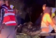 Aksident i rëndë në Vlorë/ Makina del nga rruga dhe bie në kanal, plagosen pesë të rinjtë