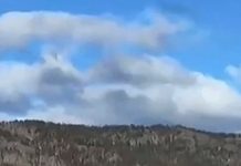 Masakër në një shkollë në Kanada, 10 viktima dhe 25 të plagosur; autorja dyshohet se është vetëvrarë