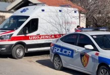 Pamjet zbardhin aksidentin tragjik në Tiranë: 7-vjeçari u përplas pasi Shukulli i dha para, gruaja e goditi për vdekje dhe u largua nga vendngjarja